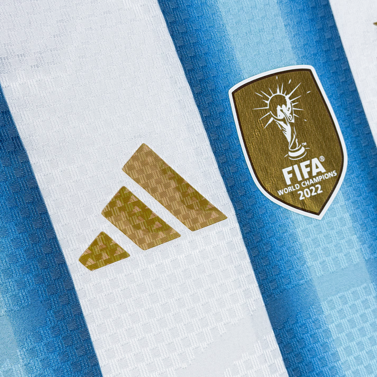 Argentina 2026 Local Manga Larga Version Jugador - Express