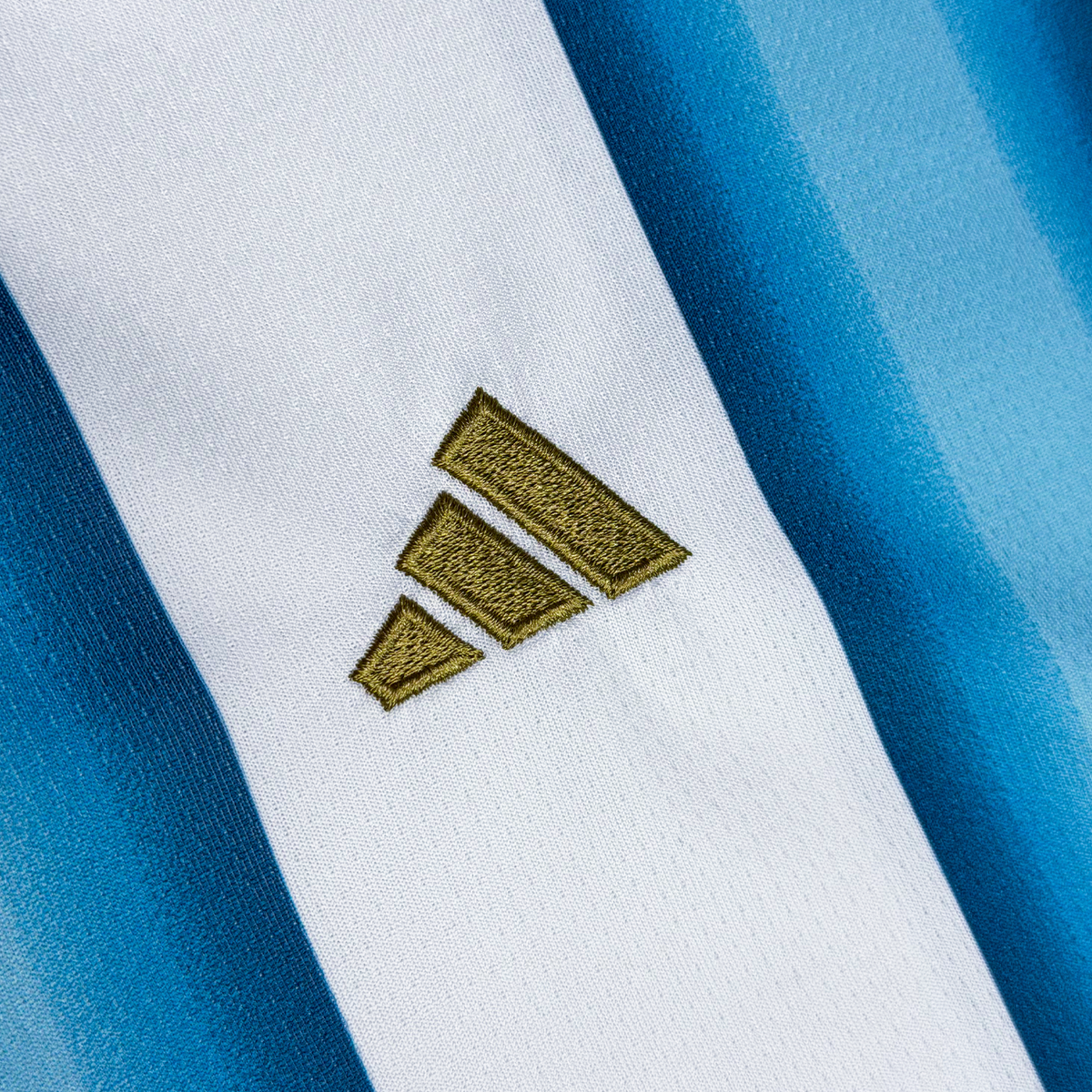 Argentina 2026 Local Manga Larga para Niños